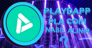 PlayDapp (PLA) Coin Nasıl Alınır, Geleceği, Hangi Borsada?