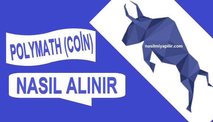 Polymath (POLY) Coin Nasıl Alınır, Geleceği, Hangi Borsada?