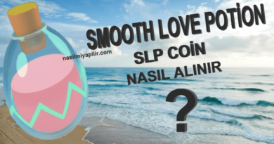 SLP Coin Nasıl Alınır? Smooth Love Potion Coin Geleceği, Hangi Borsada?