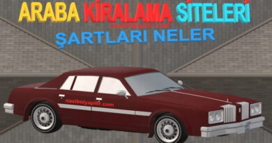 Araç Kiralama Şirketleri: Araba Kiralama Şartları Neler?