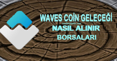 Waves Coin Geleceği: Waves Coin Kaç TL, Borsaları?