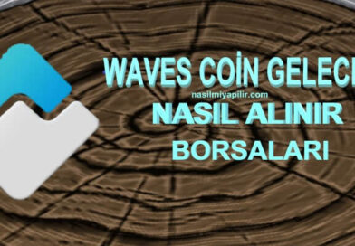Waves Coin Geleceği: Waves Coin Kaç TL, Borsaları?
