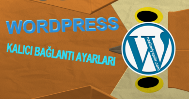 WordPress Kalıcı Bağlantı Ayarları Nasıl Yapılır?