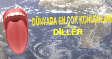 Dünyada En Çok Konuşulan Diller! Türkçe İlk 10'da Yok!