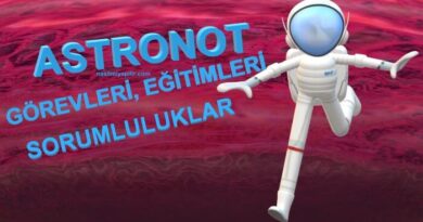 Astronot Nedir, Ne İş Yapar? Aldıkları Eğitimler Nelerdir?