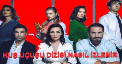 Birce Akalay'lı Kuş Uçuşu Dizisi Nasıl İzlenir?