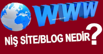 Niş Site Nedir? Niş Blog Nasıl Kurulur?