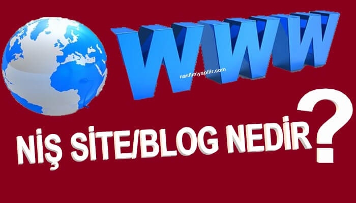 Niş Site Nedir? Niş Blog Nasıl Kurulur?