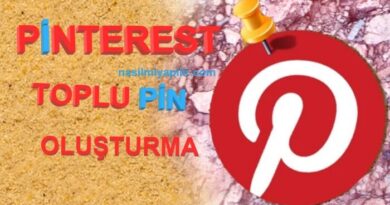 Pinterest Toplu Pin Nasıl Oluşturulur?