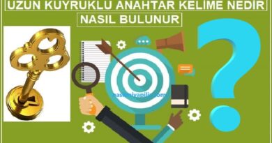 Uzun Kuyruklu Anahtar Kelime Nedir, Nasıl Bulunur?