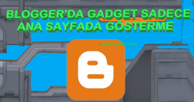 Blogger'da Gadget Sadece Ana Sayfada Gösterme