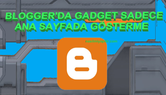 Blogger'da Gadget Sadece Ana Sayfada Gösterme