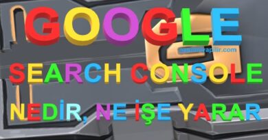 Search Console URL Denetimi Nedir, Ne İşe Yarar?