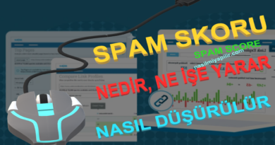 Spam Skoru Nedir, Ne İşe Yarar? Spam Score Düşürme!