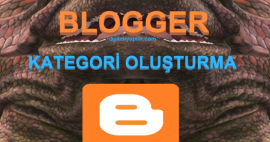 Blogger Kategori Oluşturma! Kodsuz Basit Yöntem