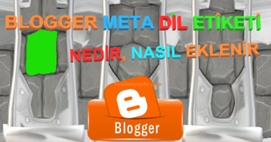 Blogger Meta Dil Etiketi Kodu Nedir, Nasıl Eklenir?