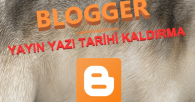 Blogger Yayın Yazı Tarihi Kaldırma!