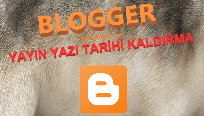 Blogger Yayın Yazı Tarihi Kaldırma!