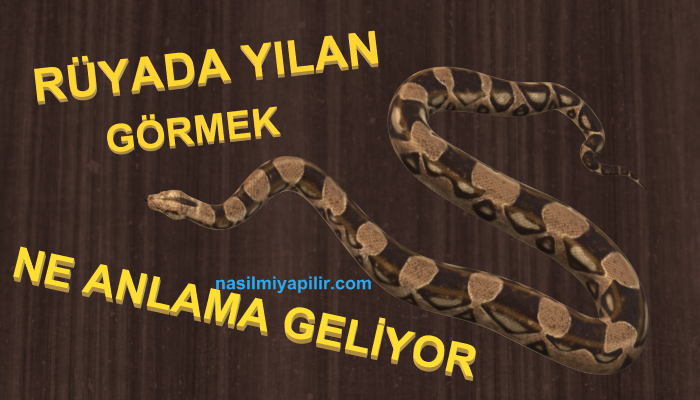 Rüyada Yılan Görmek ve Yılan Çeşitlerine Göre Tabirler