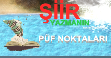 Şiir Yazmanın Püf Noktaları Nelerdir Diyenlere Nokta Atışı