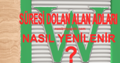 Süresi Dolan Alan Adları Nasıl Yenilenir?