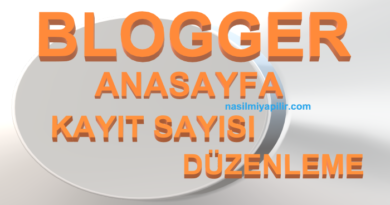 Blogger Anasayfa Ve Kayıt Sayısı Düzenleme Yapmanın En Basit Yolu