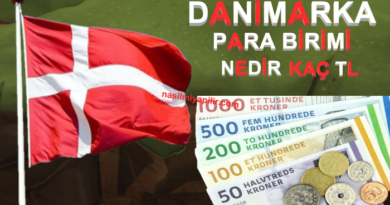 Danimarka Para Birimi Nedir? Danimarka Parası Kaç TL ve Sembolü?