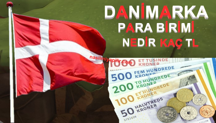 Danimarka Para Birimi Nedir? Danimarka Parası Kaç TL ve Sembolü?