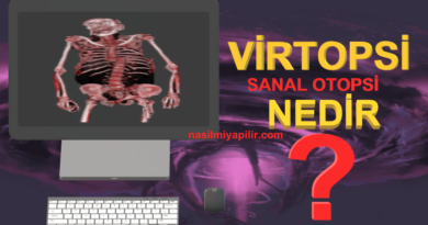 Virtopsi (Sanal Otopsi) Nedir, Nasıl Yapılır?