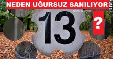 13 Sayısı Neden Uğursuz Sanılıyor? Uğursuz mu?