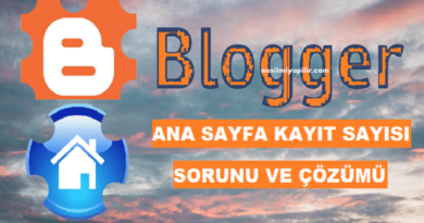 Blogger Ana Sayfa Kayıt Sayısı Sorunu Nasıl Çözülür?