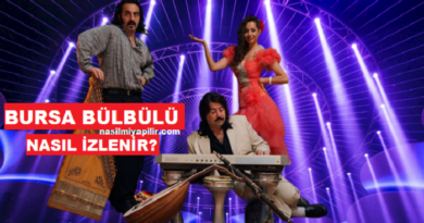 Bursa Bülbülü Filmi Nasıl Nereden İzlenir?