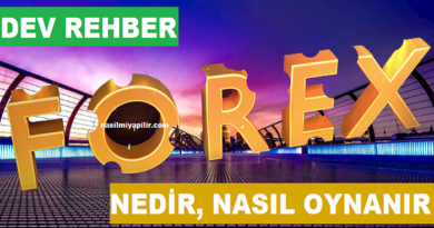 Forex Nedir Nasıl Oynanır? Forex Hakkında Dev Rehber