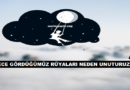 Gece Gördüğümüz Rüyaları Uyandığımızda Neden Unuturuz?