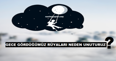 Gece Gördüğümüz Rüyaları Uyandığımızda Neden Unuturuz?