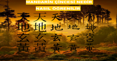 Mandarin Çincesi Nedir? Nasıl Öğrenilir, Alfabesi Var mı?