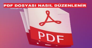 PDF Dosyası Nasıl Düzenlenir? En Kolay 2 Yol