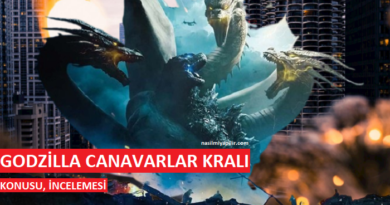 Godzilla Canavarlar Kralı Konusu, Film İncelemesi!