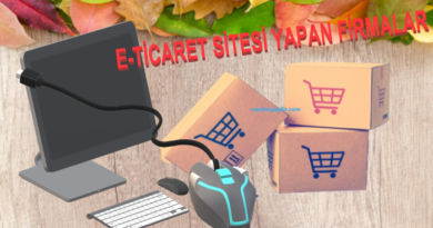 En İyi Uygun Fiyatlı E-Ticaret Sitesi Yapan Firmalar