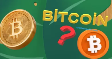 Bitcoin (BTC) Nasıl Alınır, Geleceği, Hangi Borsada?