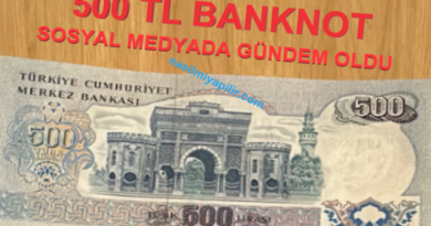 500 TL Banknot Paylaşımı Ortalığı Karıştırdı!