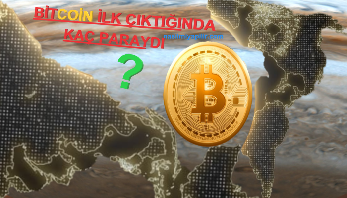 Bitcoin İlk Çıktığında Kaç Paraydı?