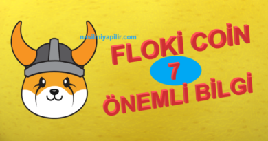 Floki Coin Hakkında Merak Edilen 7 Detay!