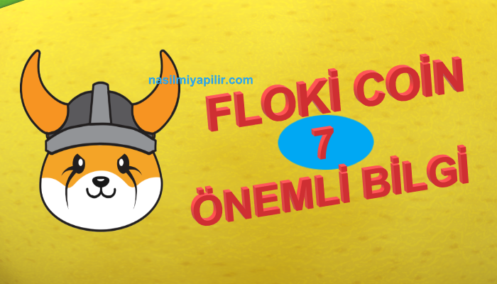 Floki Coin Hakkında Merak Edilen 7 Detay!