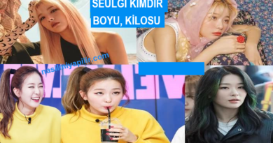 Seulgi Kimdir, Kaç Yaşında? Seulgi Sevgilisi, Boyu, Kilosu?