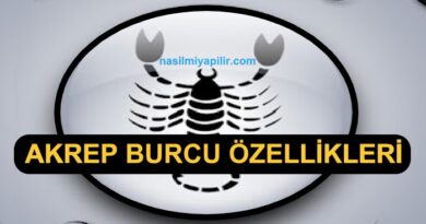 Akrep Burcu Özellikleri Neler? Günlük Burç Yorumları