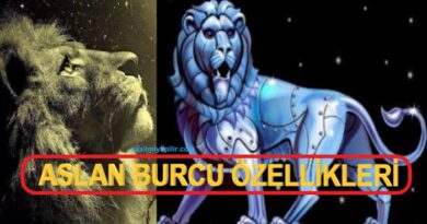 Aslan Burcu Özellikleri Neler? Günlük Burç Yorumları