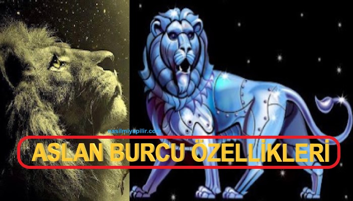 Aslan Burcu Özellikleri Neler? Günlük Burç Yorumları