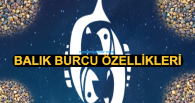 Balık Burcu Özellikleri Neler? Günlük Burç Yorumları