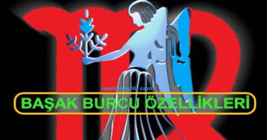 Başak Burcu Özellikleri Neler? Günlük Burç Yorumları